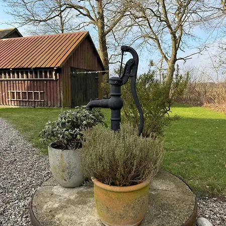 Digebjerggaard * Vester-Skerninge