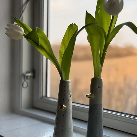 Digebjerggaard Frühstückspension *