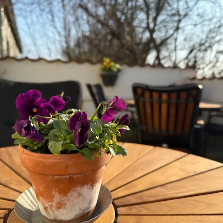 Frühstückspension Digebjerggaard *