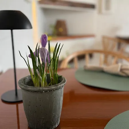 Digebjerggaard Bed & Breakfast *