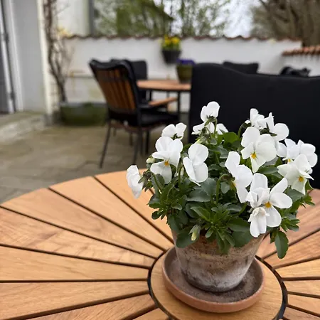 Bed & Breakfast Digebjerggaard Vester-Skerninge