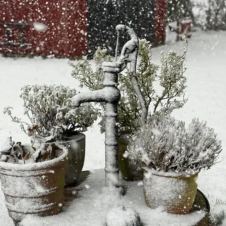 Frühstückspension Digebjerggaard