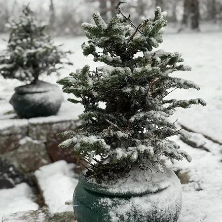 Frühstückspension Digebjerggaard *