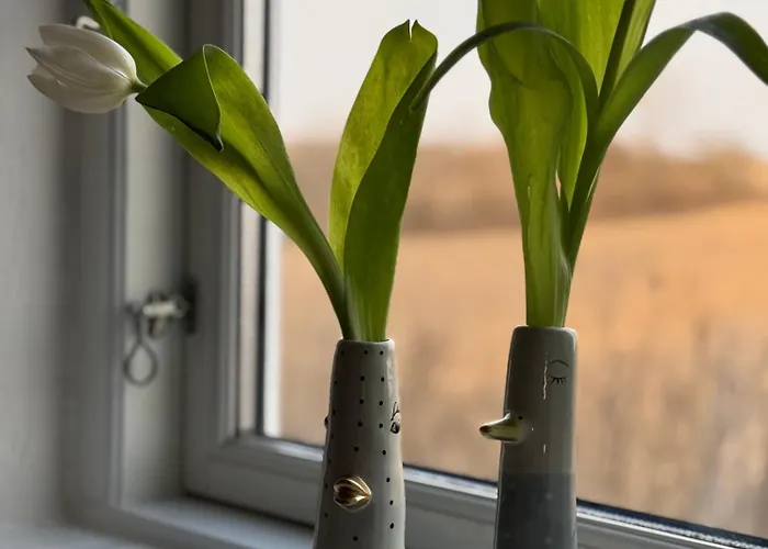 Digebjerggaard ベッド・アンド・ブレックファスト *