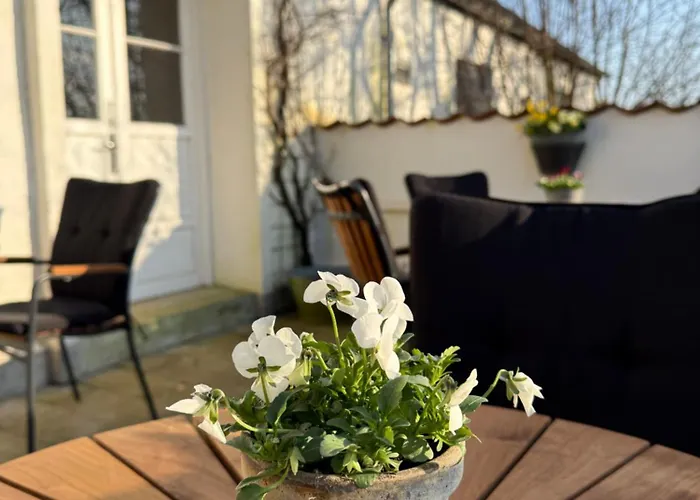 B&B Digebjerggaard *