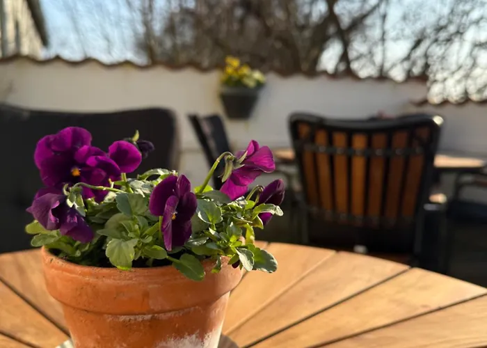 B&B Digebjerggaard *