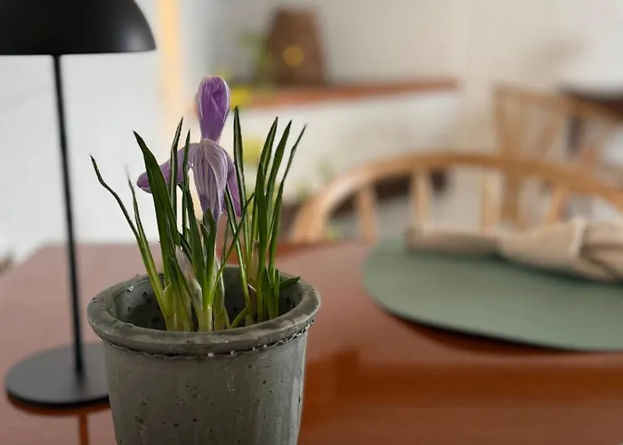 Digebjerggaard B&B *