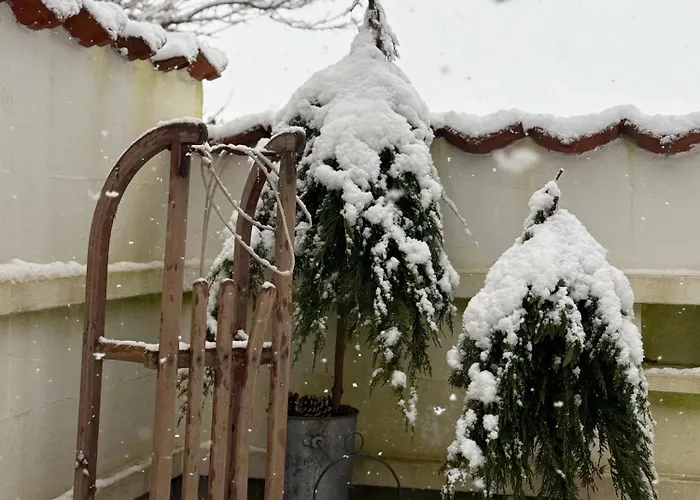 Frühstückspension Digebjerggaard