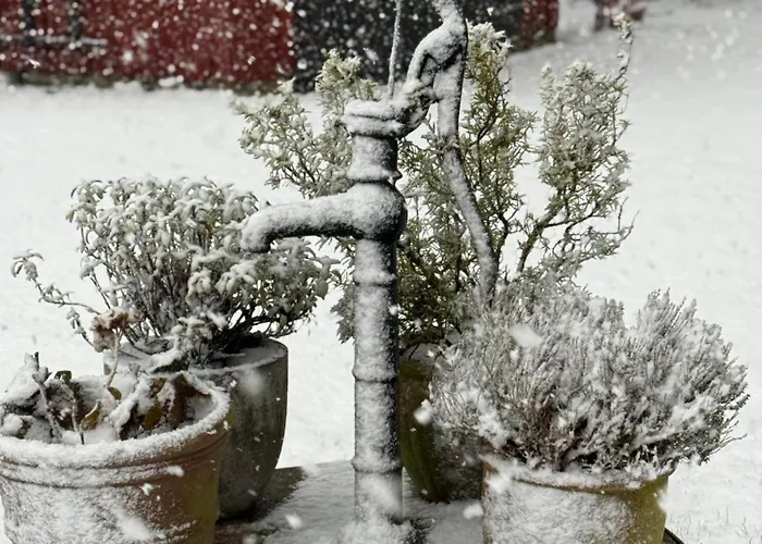 ベッド・アンド・ブレックファスト Digebjerggaard