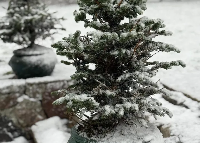 B&B Digebjerggaard *